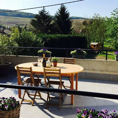 La Terrasse Des Forges * Pierry
